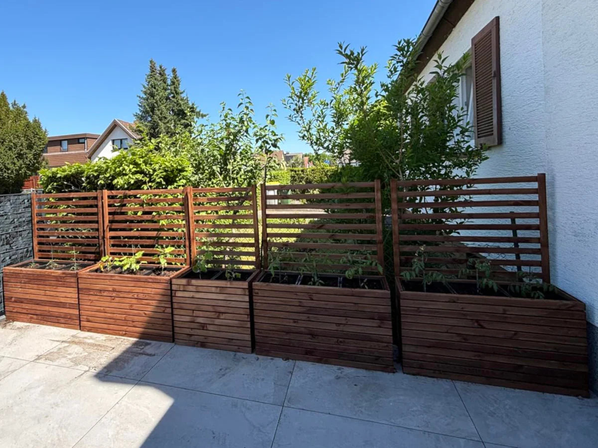 Drewniane donice ogrodowe z pergolą, stojące przy domu na tarasie, rośliny zielone