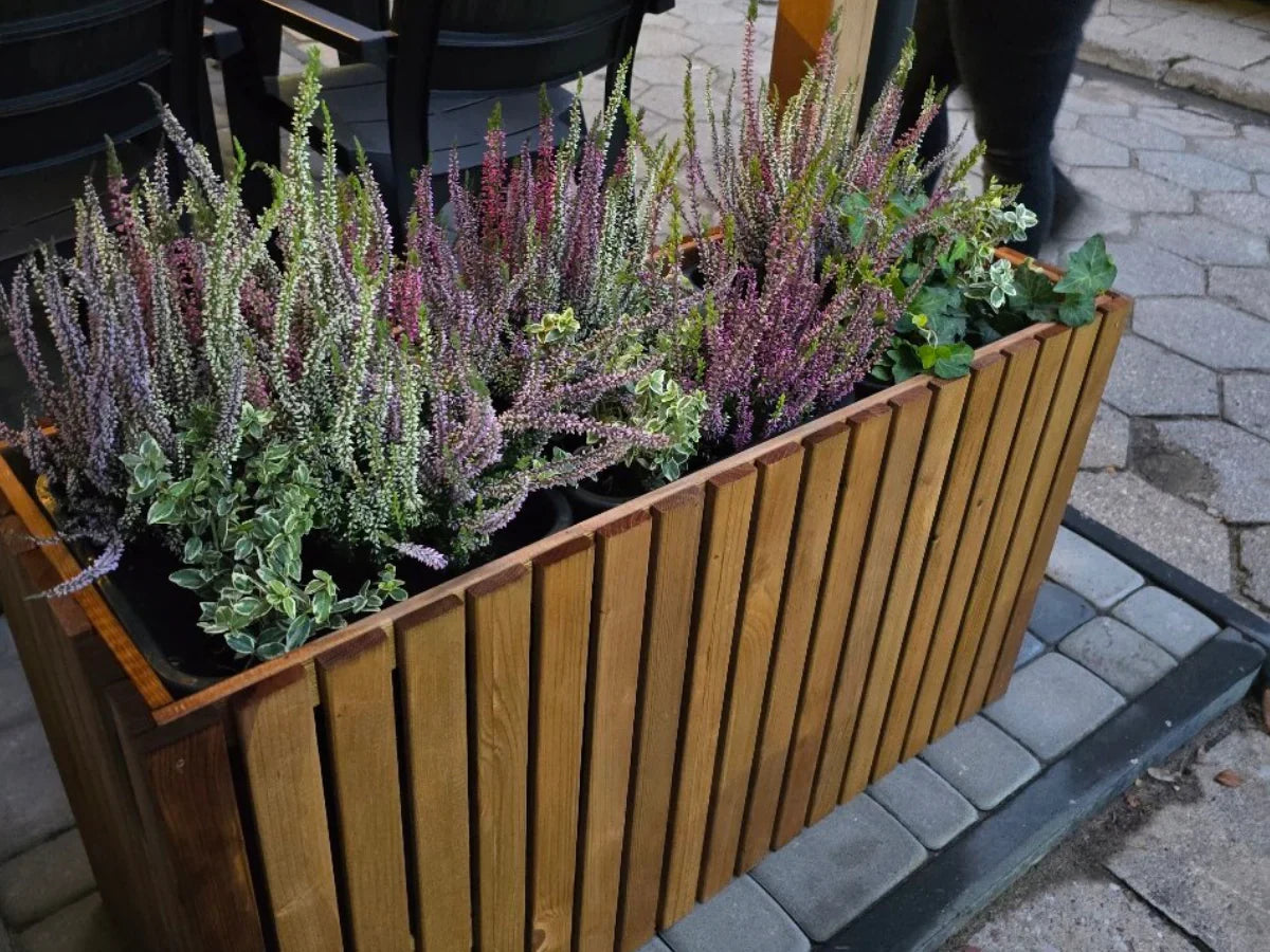 Solidna donica z drewna z wrzosami i zielonymi roślinami na tarasie