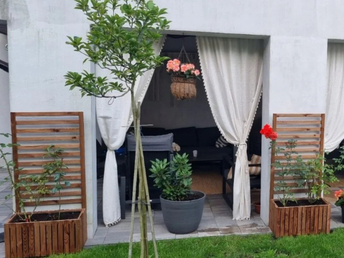 Drewniane donice ogrodowe z pergolami na rośliny przed tarasem z zasłonami