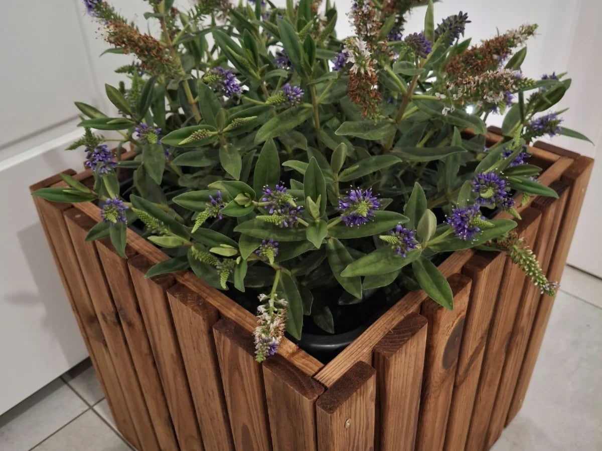 Drewniana donica z kwitnącą rośliną wewnątrz, solidna konstrukcja, naturalny design