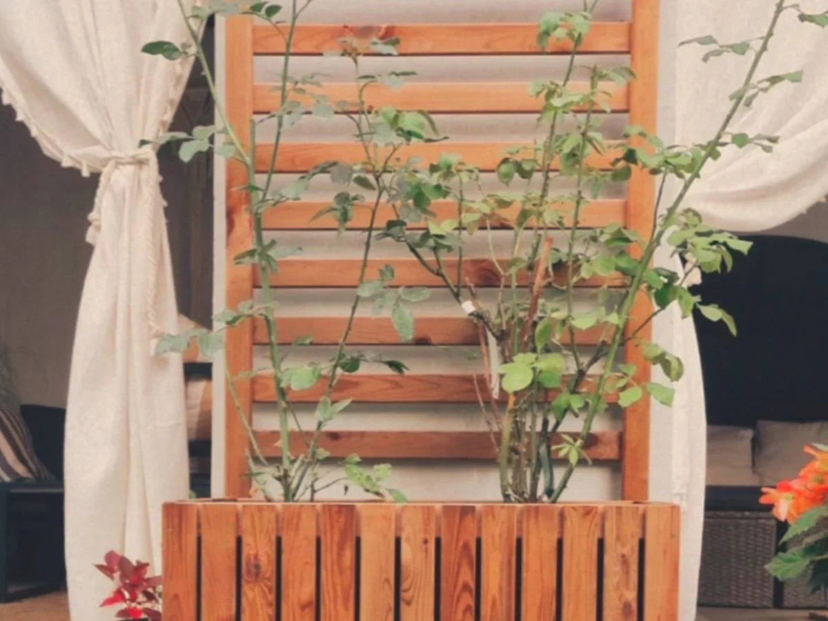 Drewniana donica z kratką i roślinami na tarasie, nowoczesny design, naturalne materiały