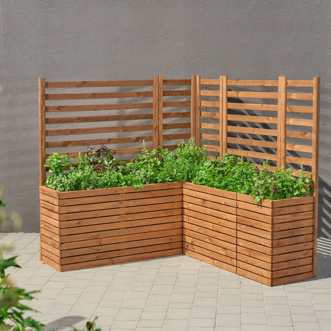 Donica z pergolą – wybór, montaż i najlepsze rośliny pnące do Twojego ogrodu