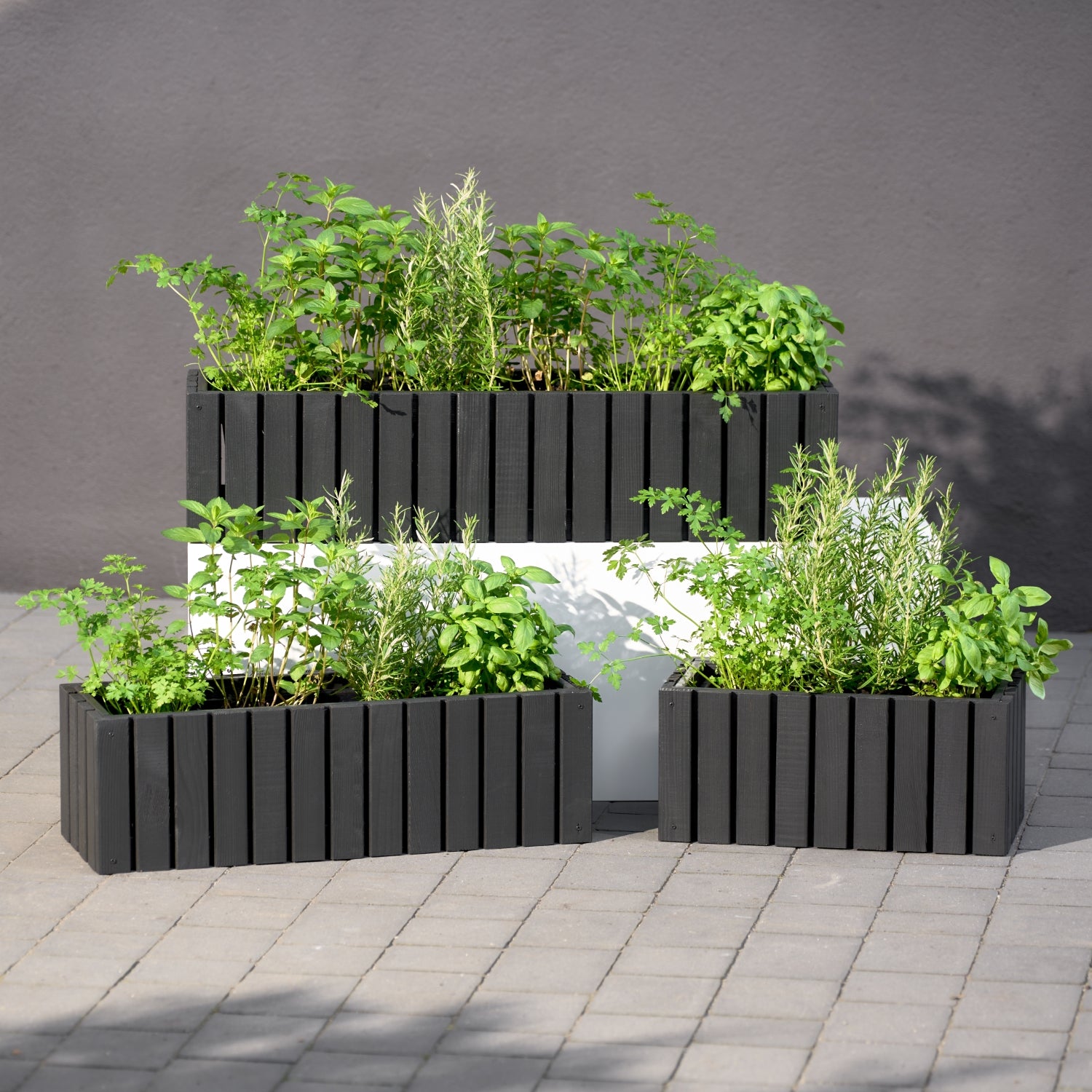 Maceta de balcón 86 cm antracita + inserto 14 l + asa balcón terraza