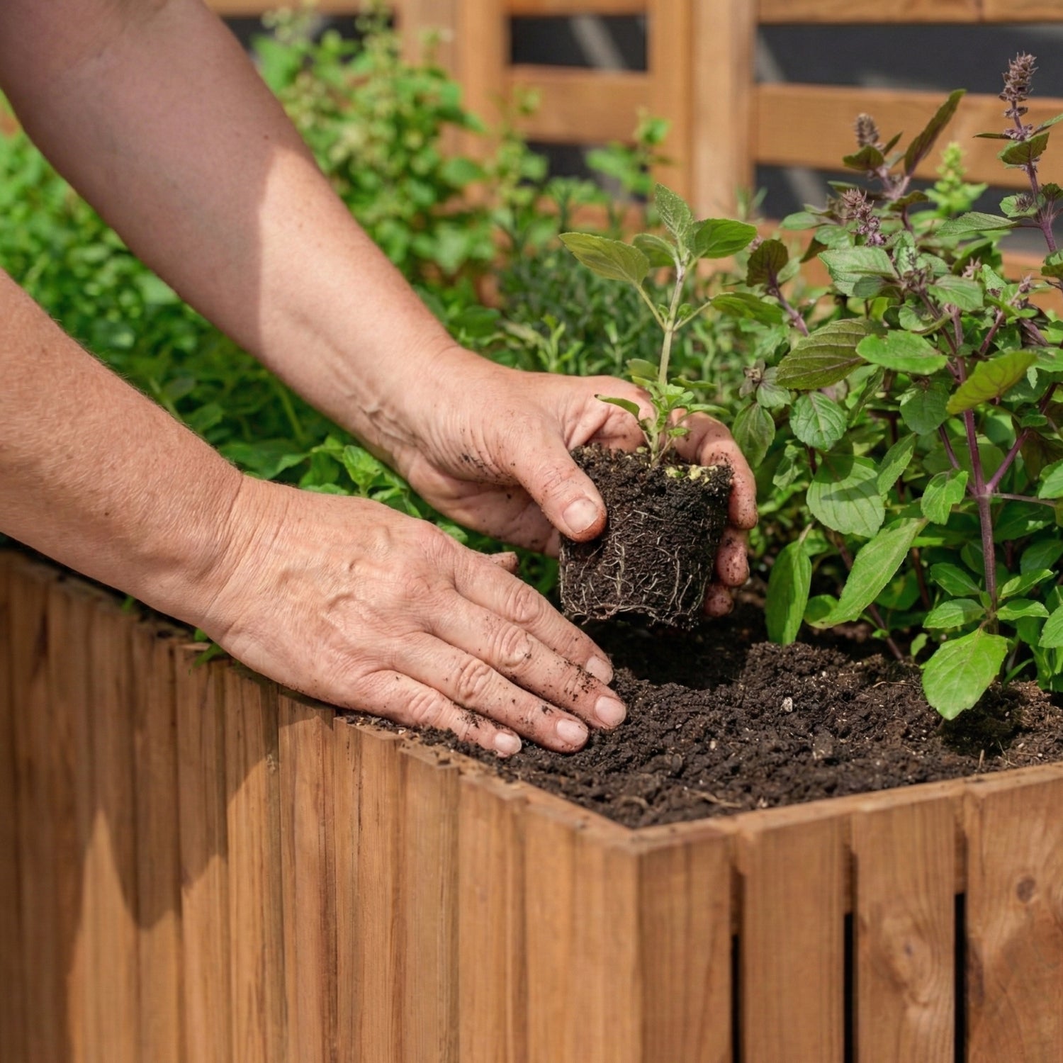 Duża donica ogrodowa wysoka 55cm, wkład plastikowy 2x18l taras balkon ogród