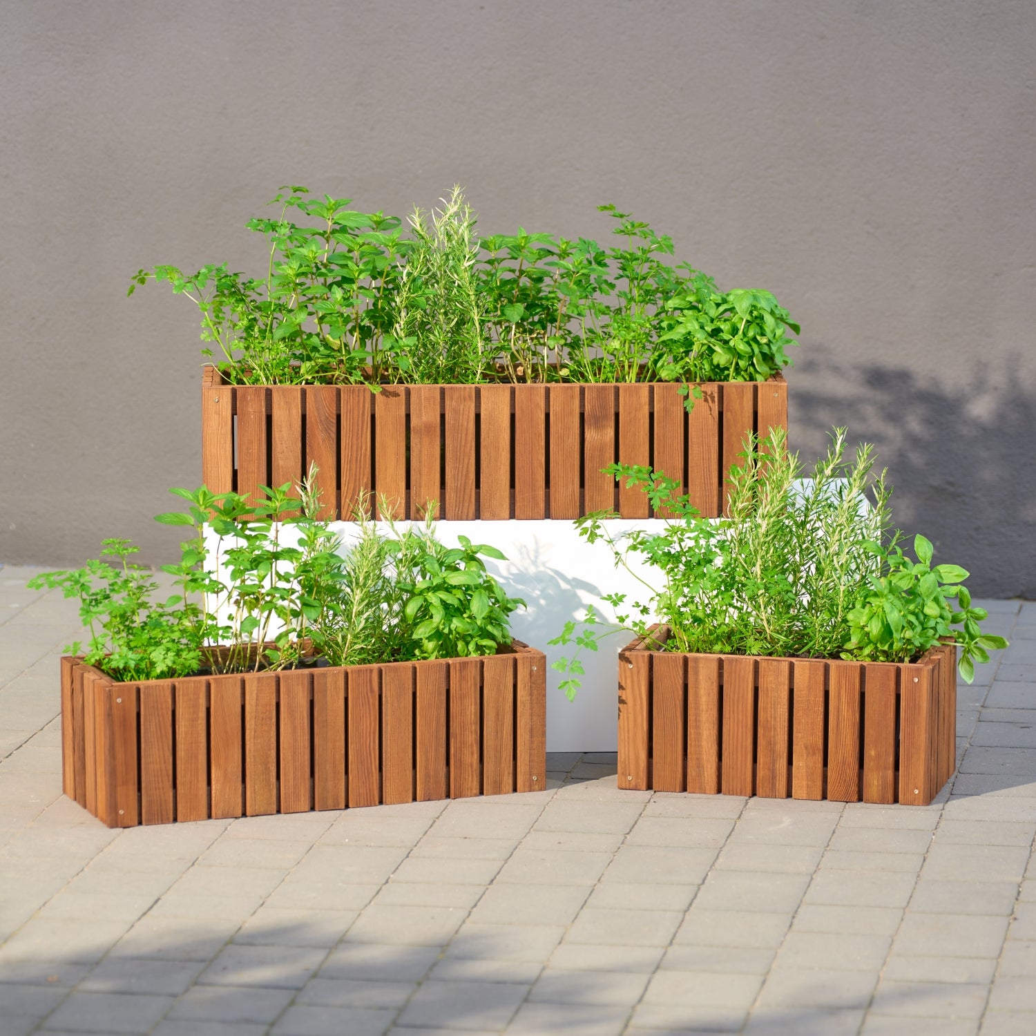 Balkonblumentopf 65 cm braun + 11 l Einsatz für Balkon, Terrasse und Garten