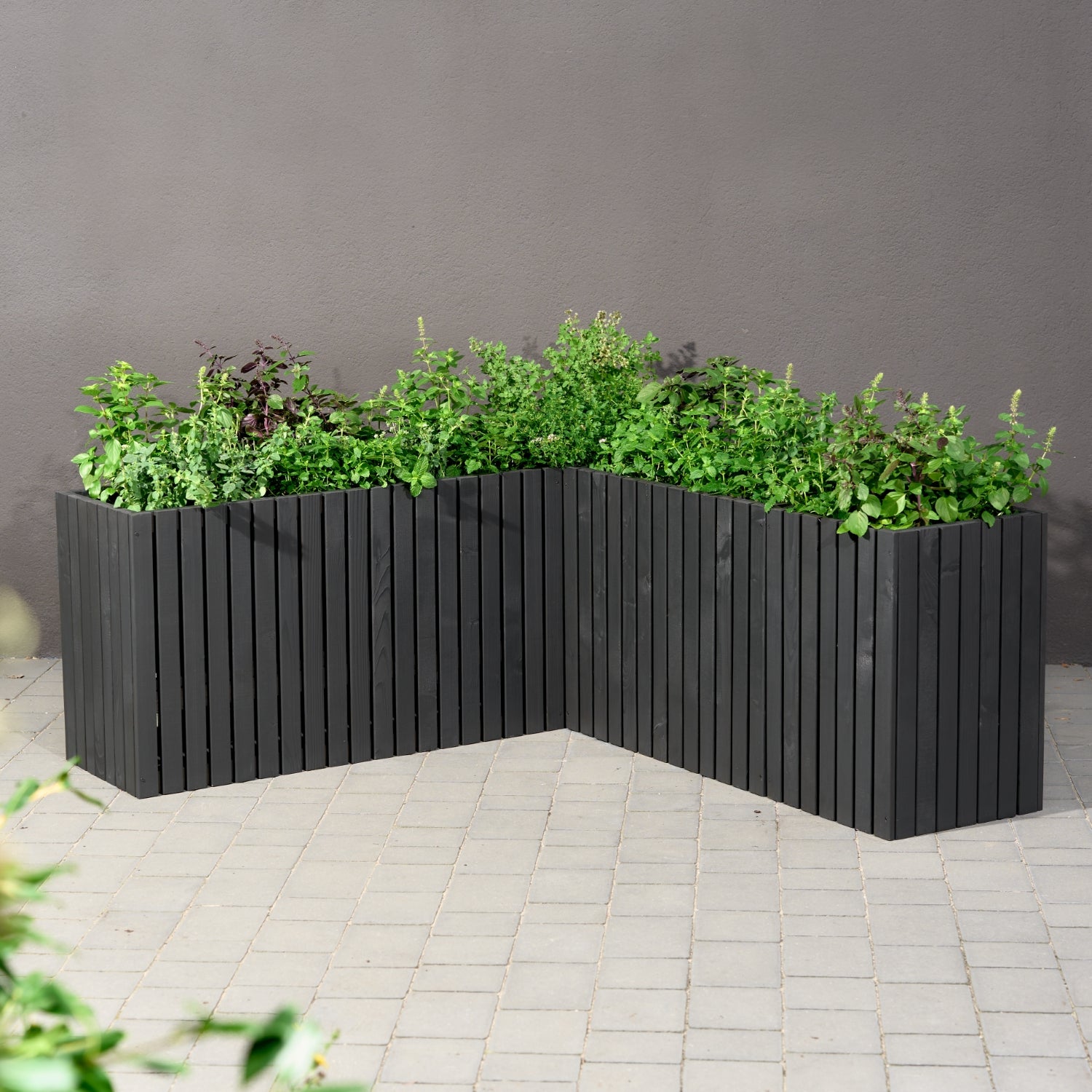 Maceta de madera para jardín, color antracita negro, alta, 55 cm, para terraza, balcón, jardín. 