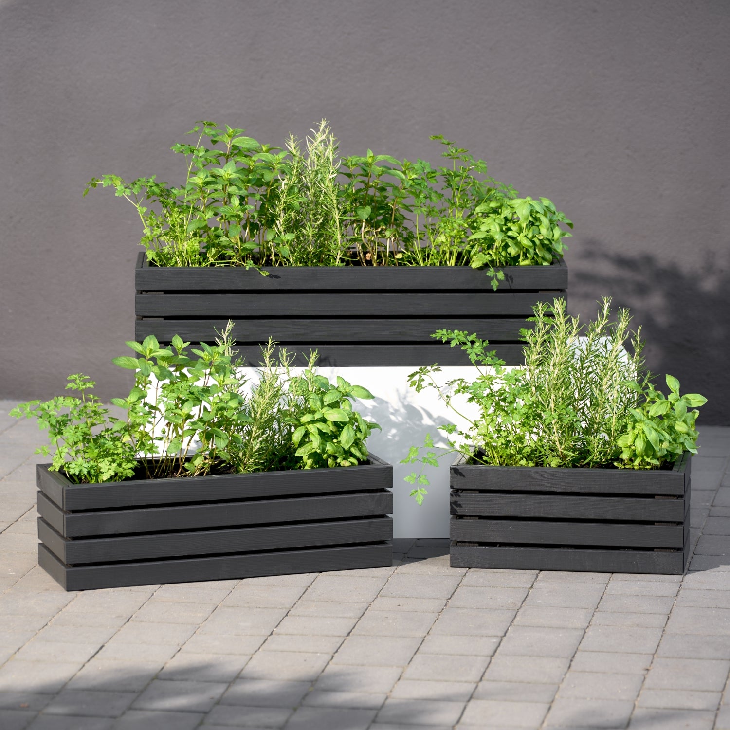 Balkonblumentopf 65 cm anthrazit + 11 l Einsatz + Griff für Balkon und Terrasse