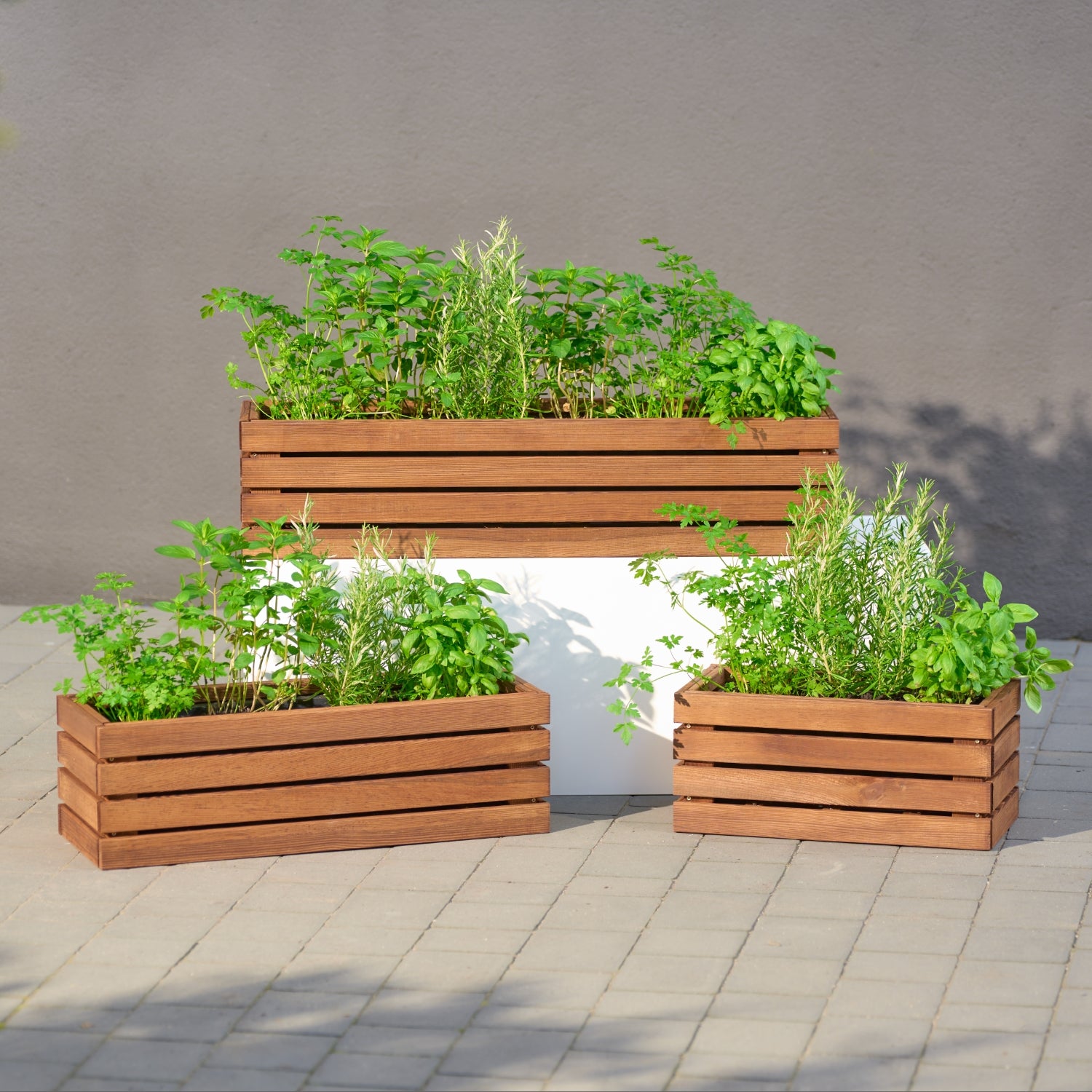 Pot de fleurs marron 65 cm + insert 11 l + poignée pour balcon/terrasse