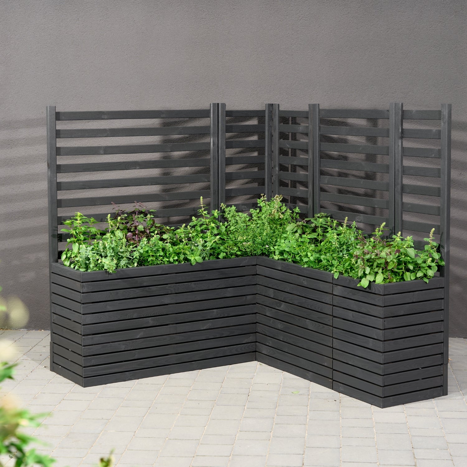 Maceta de madera para jardín, color antracita negro, alta, 55 cm, para terraza, balcón, jardín. 