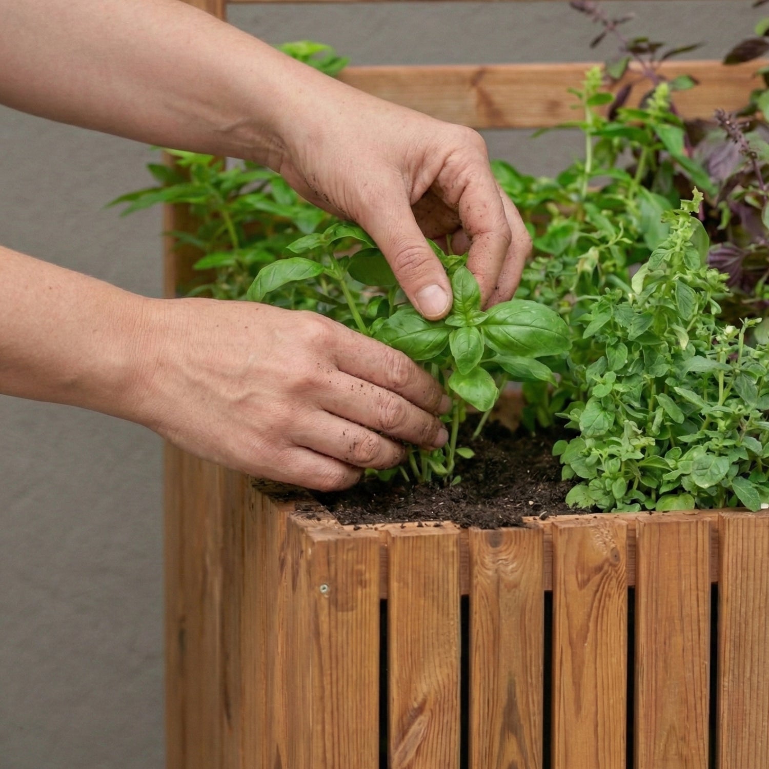 Dřevěný zahradní květináč s pergolovou mřížkou 157 cm, vložka 1x18 l, hnědá 