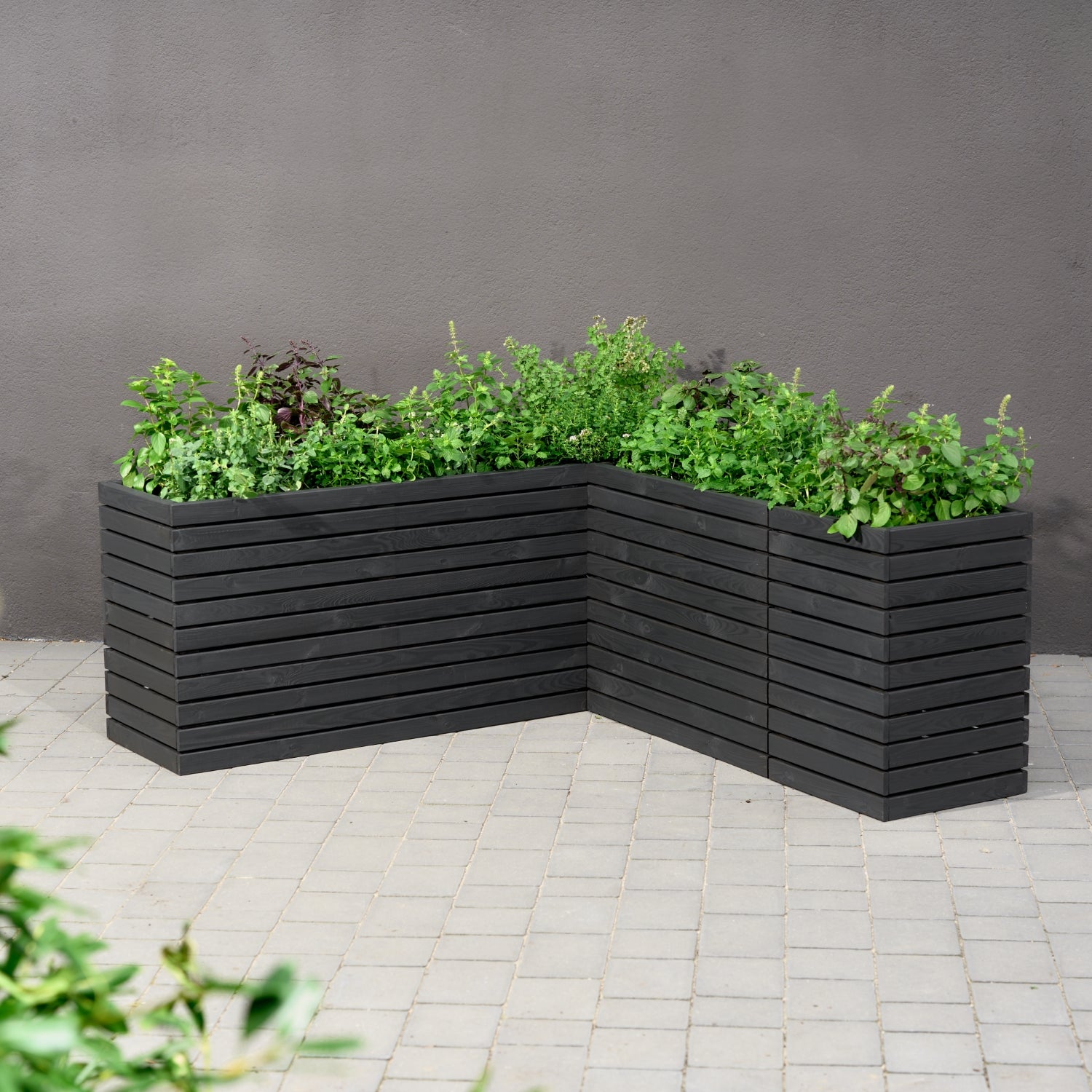 Maceta de madera para jardín, color antracita negro, alta, 55 cm, para terraza, balcón, jardín. 